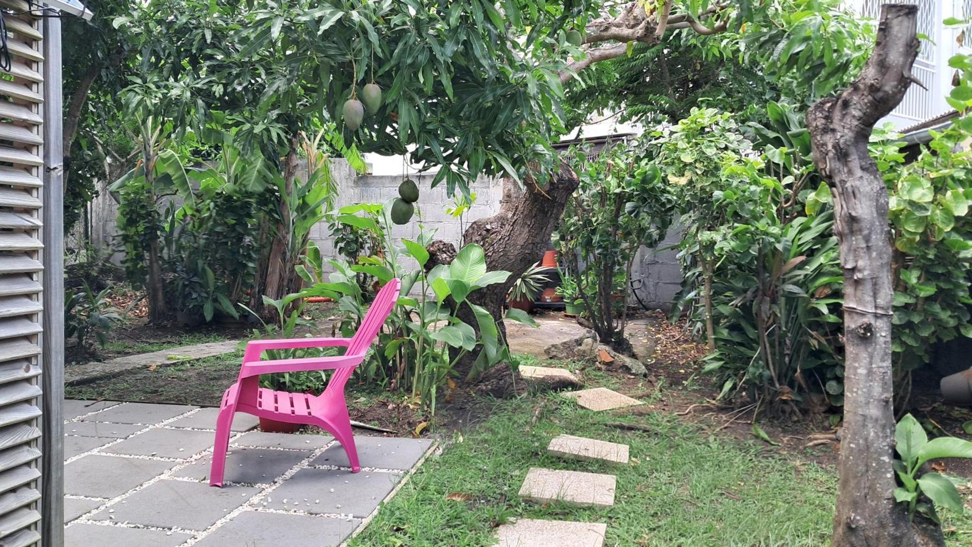 Апартаменти Agreable F2, Jardin, Garage, Fibre, Clim Ch Фор-де-Франс Екстер'єр фото